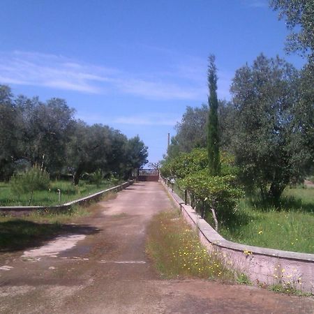 Villa Rustica Nardò Extérieur photo